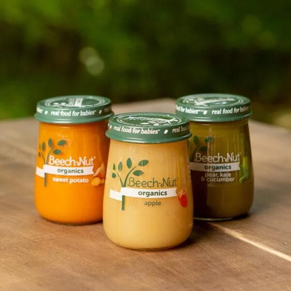 Beech-Nut Organics Stage 1 Organic Baby Food, Pumpkin, 4 oz Jar - Image 4